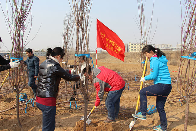 設計院干部職工在玉符河畔參加義務(wù)植樹(shù)活動(dòng)